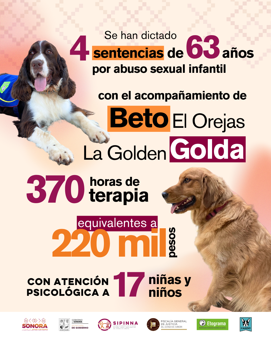 8.-terapia-asistida-con-perros