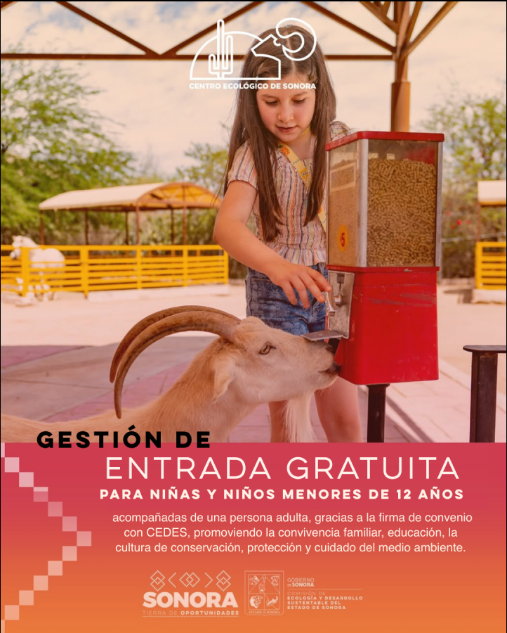 captura-desde-2025-08-15-08-33-13